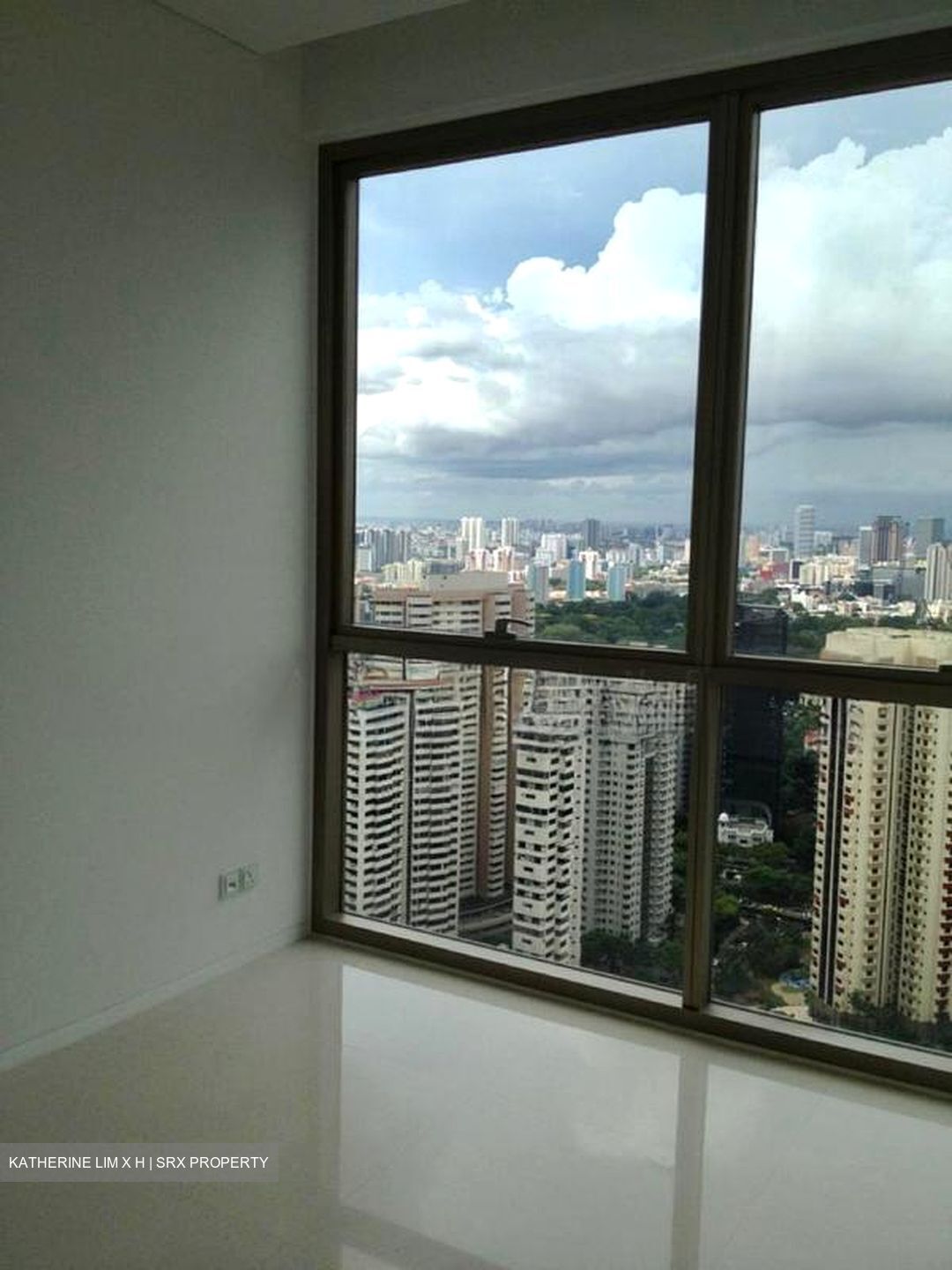 Scotts Square (D9), Apartment #521788741